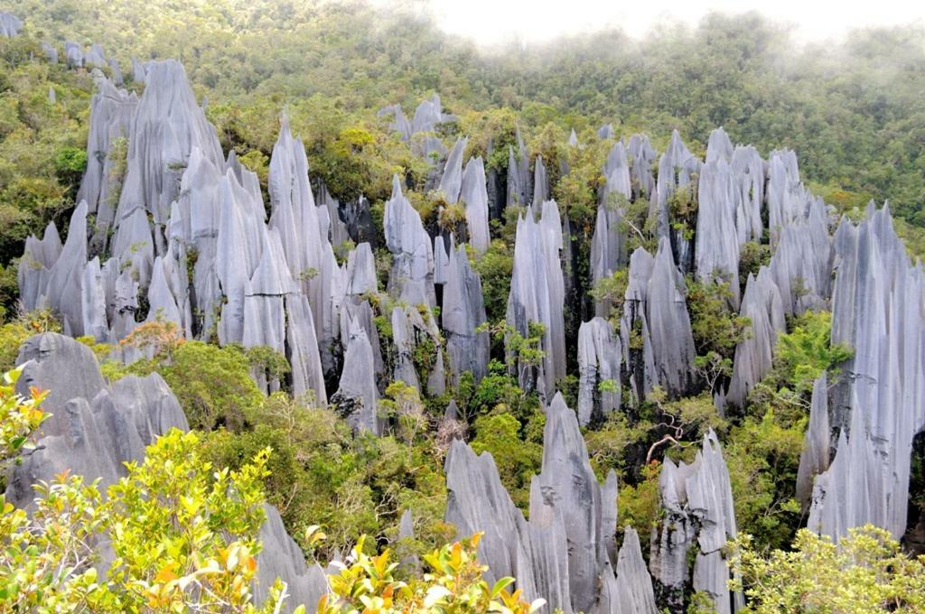 Mulu National Park Exterior foto