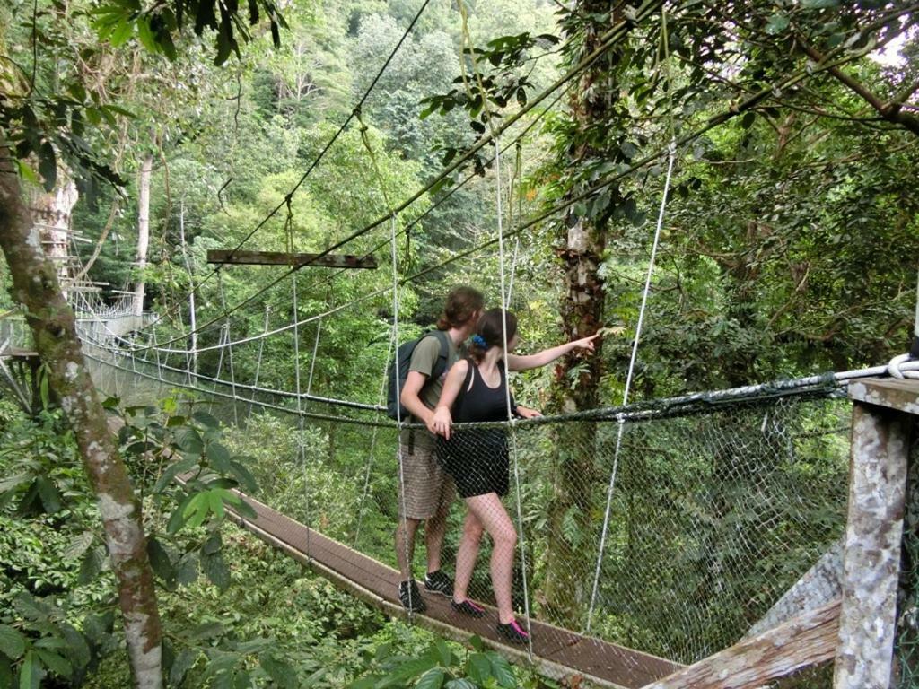 Mulu National Park Exterior foto