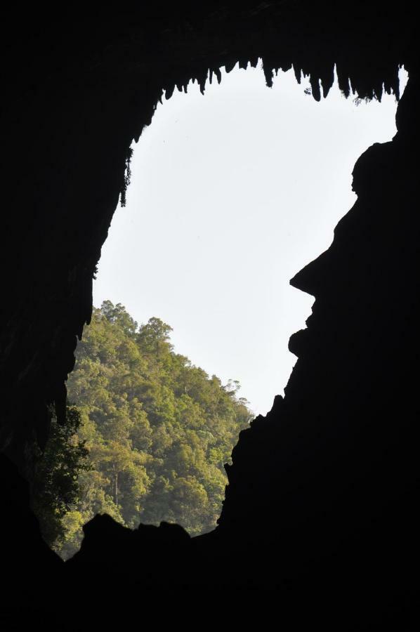 Mulu National Park Exterior foto